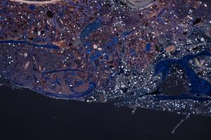 Cross Polarized, E66856