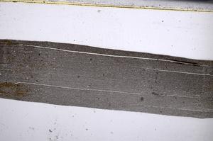 Plane Polarized, E67007