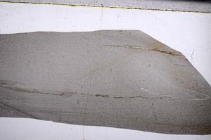 Plane Polarized, E67014