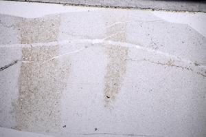 Plane Polarized, E67042