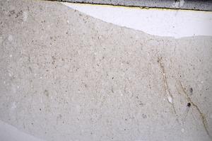 Plane Polarized, E67057