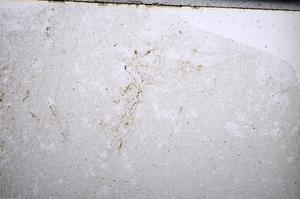 Plane Polarized, E67059
