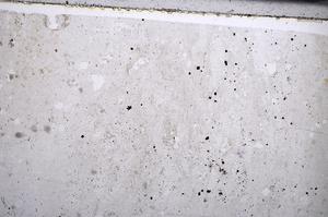 Plane Polarized, E67087