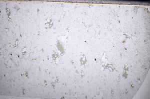 Plane Polarized, E67111
