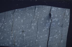 Cross Polarized, E67214