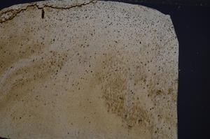 Cross Polarized, E67268