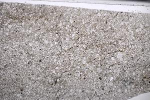 Plane Polarized, E67284