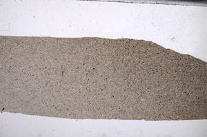 Plane Polarized, E67324