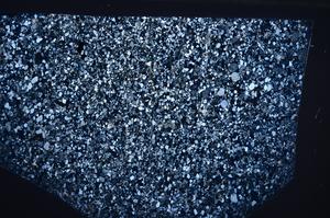 Cross Polarized, E67390