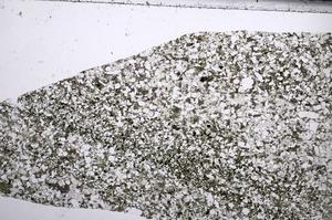 Plane Polarized, E67496