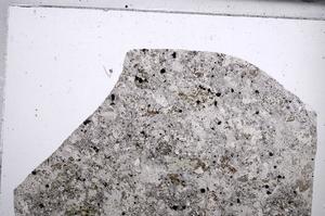 Plane Polarized, E67543