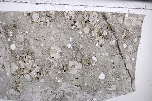 Plane Polarized, E67545