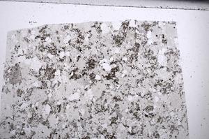 Plane Polarized, E67552