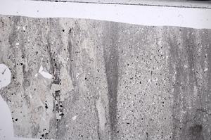 Plane Polarized, E67561