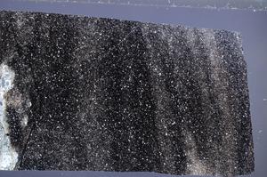 Cross Polarized, E67562