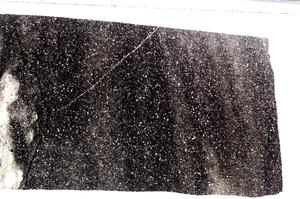 Plane Polarized, E67562