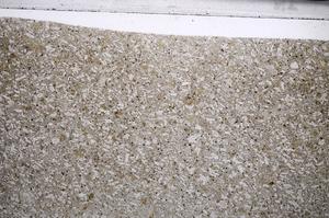 Plane Polarized, E67579