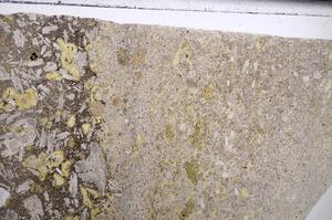 Plane Polarized, E67587