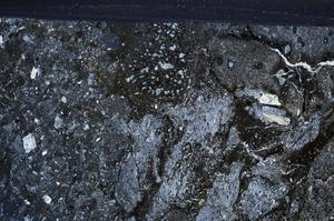 Cross Polarized, E67591