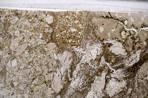 Plane Polarized, E67591