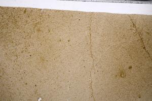 Plane Polarized, E67605