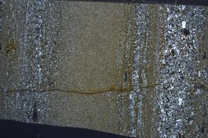 Cross Polarized, E67632