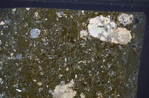 Cross Polarized, E67635