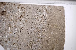 Plane Polarized, E67640