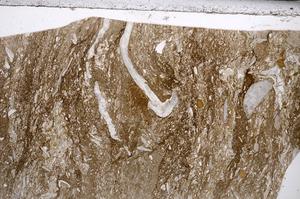 Plane Polarized, E67659