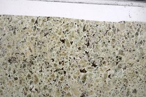 Plane Polarized, E67668