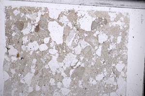 Plane Polarized, E67683