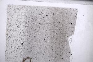 Plane Polarized, E67688