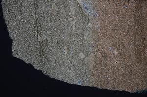 Cross Polarized, E67696