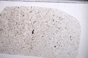 Plane Polarized, E67721