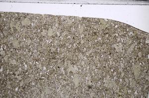 Plane Polarized, E67724