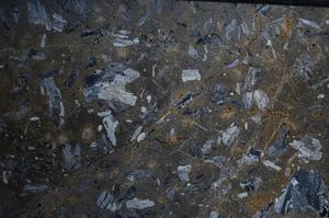 Cross Polarized, E67761/A