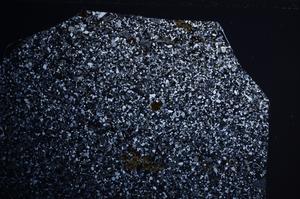 Cross Polarized, E67769/B