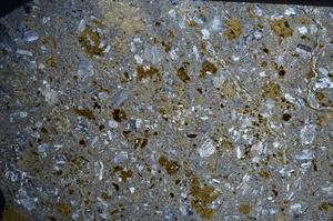 Cross Polarized, E67774/A