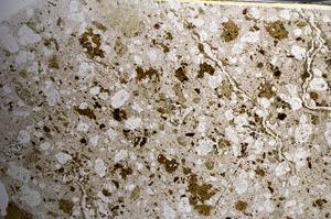 Plane Polarized, E67774/A