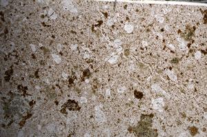 Plane Polarized, E67779/A