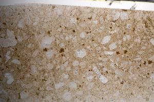 Plane Polarized, E67787