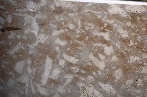 Plane Polarized, E67798