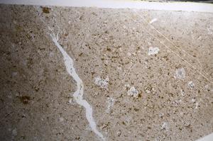 Plane Polarized, E67802