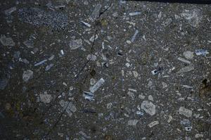 Cross Polarized, E67869