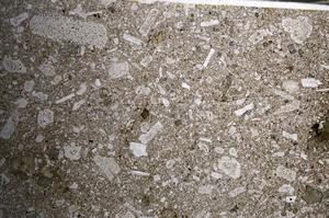 Plane Polarized, E67869