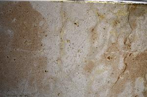 Plane Polarized, E67875