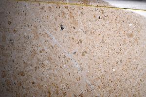 Plane Polarized, E67888