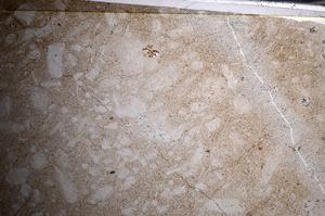 Plane Polarized, E67897