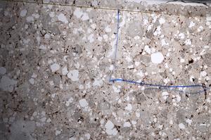 Plane Polarized, E67944