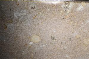 Plane Polarized, E67948